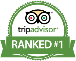 tripadvisor在bob综合官网网址kalpitiya风筝学校